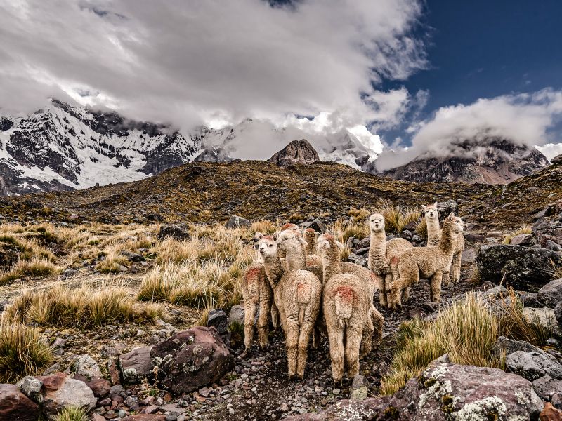 Trek 7 Lagunas Ausangate Full Day Cusco