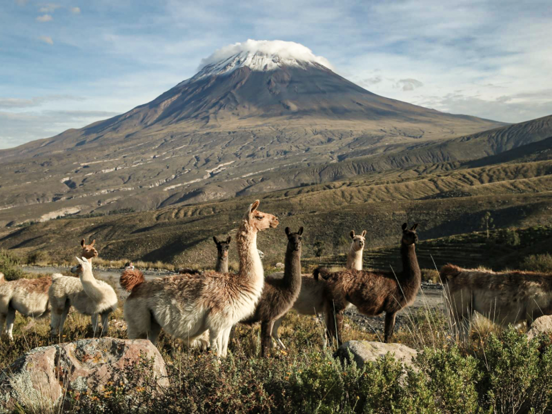 Tour Cañon del Colca 2D/1N en Bus
