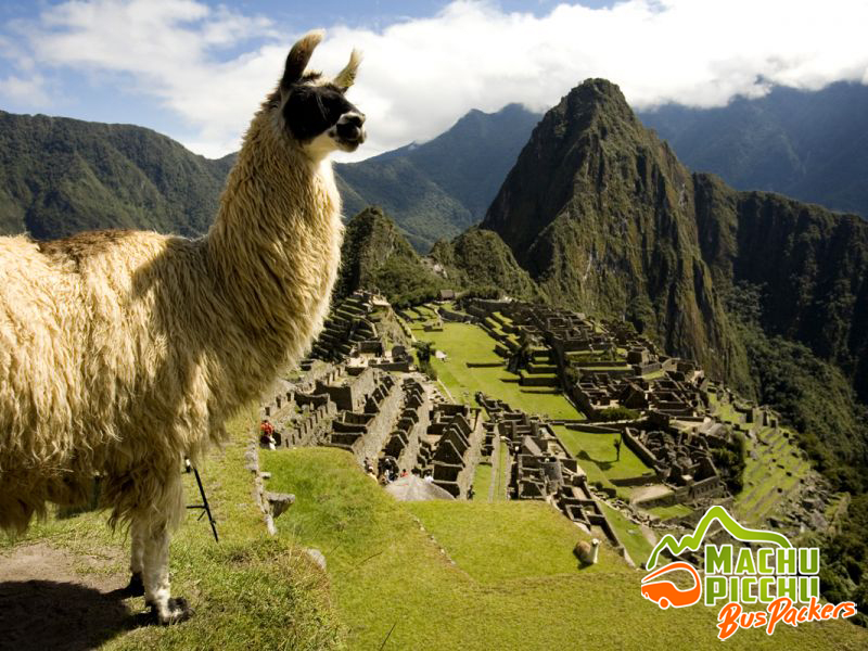 Machu Picchu por Hidroeléctrica + Ascenso Montaña Machu Picch