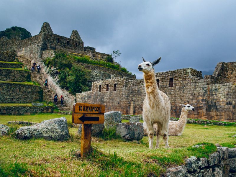 Salkantay Sky Domes 5 días y 4 noches