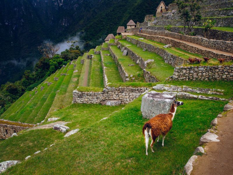 Salkantay Sky Domes 4 días Exclusivo