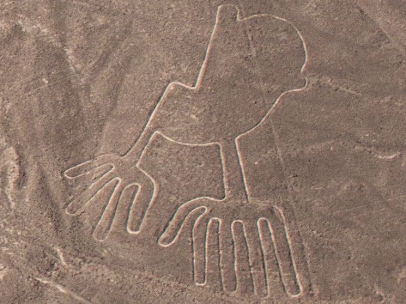 Sobrevuelos en las Líneas de Nazca Clasico