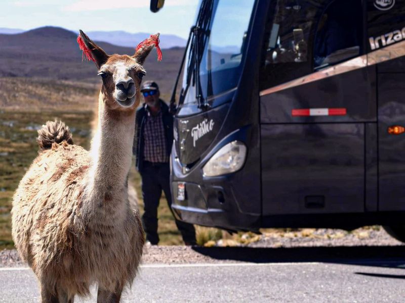 Bus Turístico Puno a Chivay