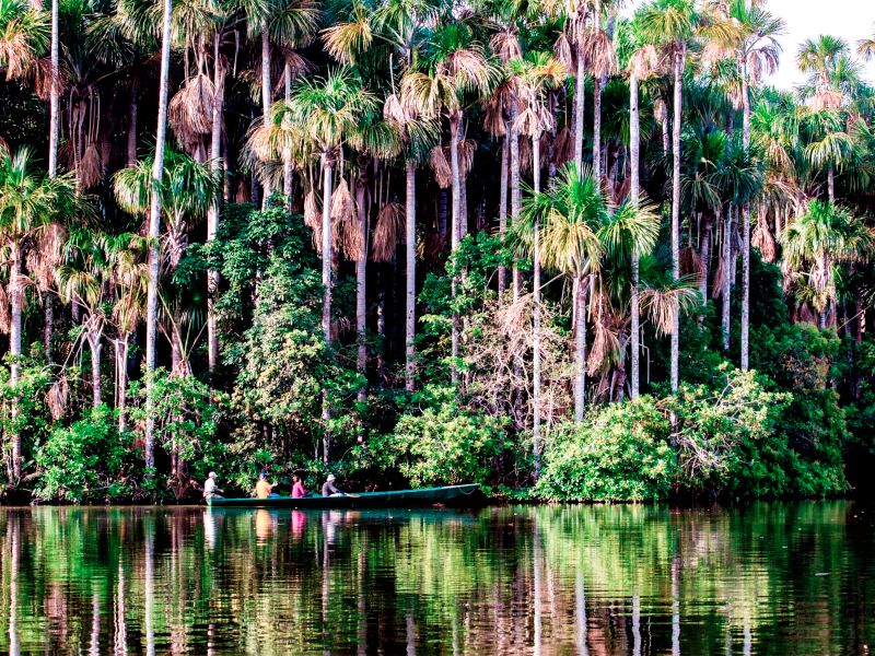 Tour Tambopata, Lago Sandoval 4 Días 3 Noches