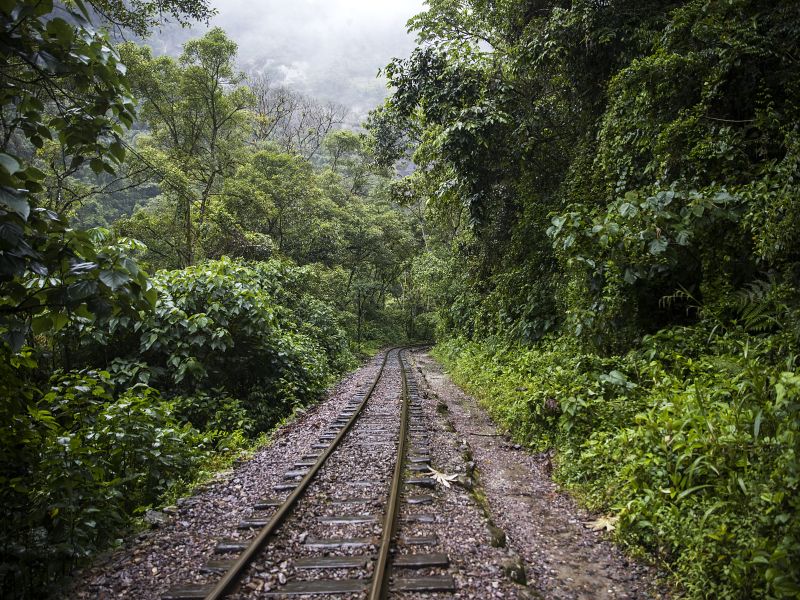 Tour Inca Jungle + Machu Picchu (3 Días 2 Noches)
