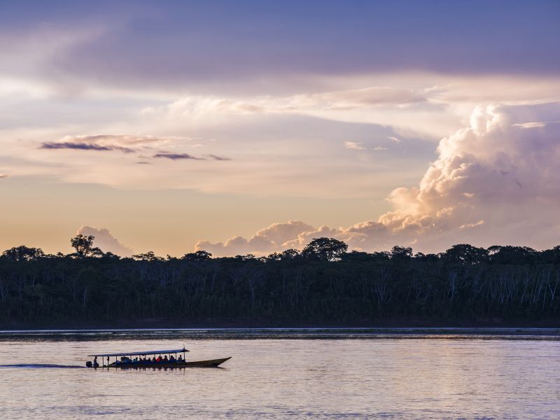 Tour Tambopata + Lago Sandoval (Puerto Maldonado 4 Días 3 Noches)