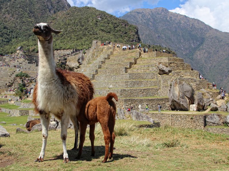 Machu Picchu Aventura por Tren 4 Dias y 3 Noches (Ejecutivo 4D/3N)